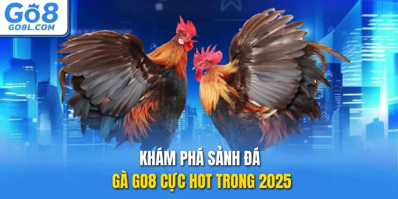 Khám phá sảnh đá gà GO8 cực hot trong 2025