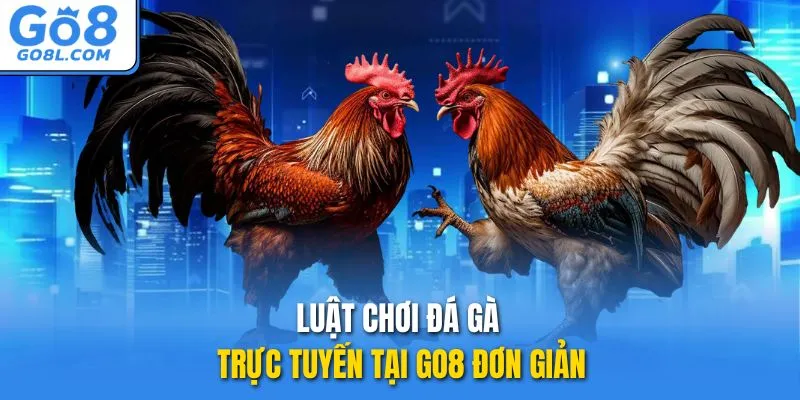 Luật chơi đá gà trực tuyến tại GO8 đơn giản