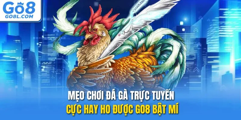 mẹo chơi đá gà trực tuyến
